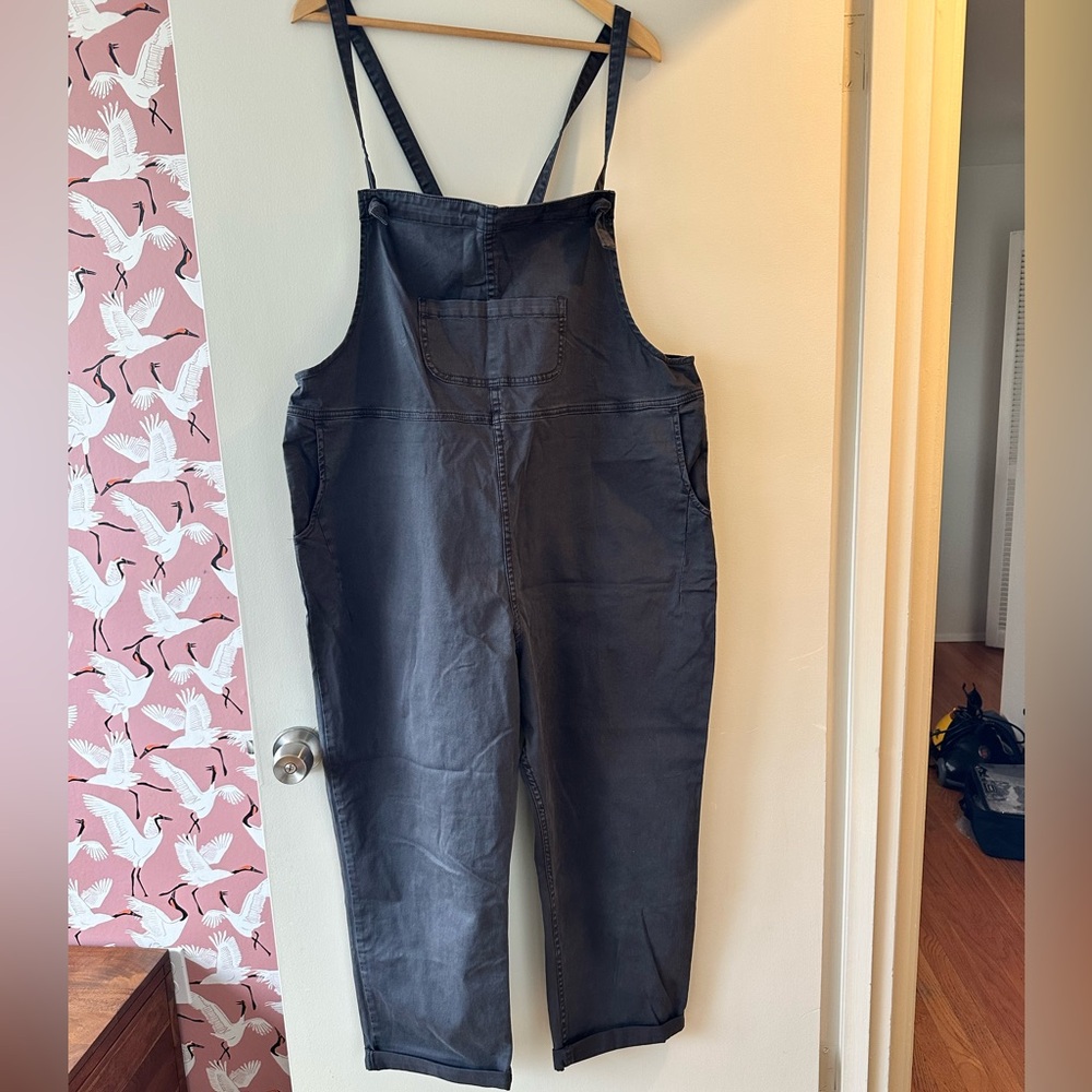 Anthropologie Pilcro Grey/Black Cotton Denim Overalls